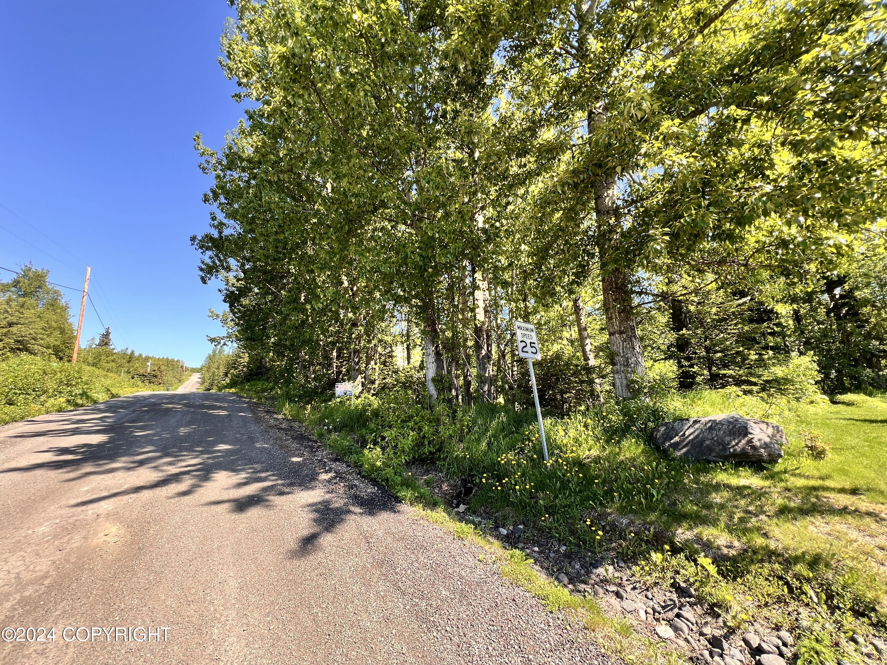 L3 Patrick Road, Anchorage, Alaska image 1