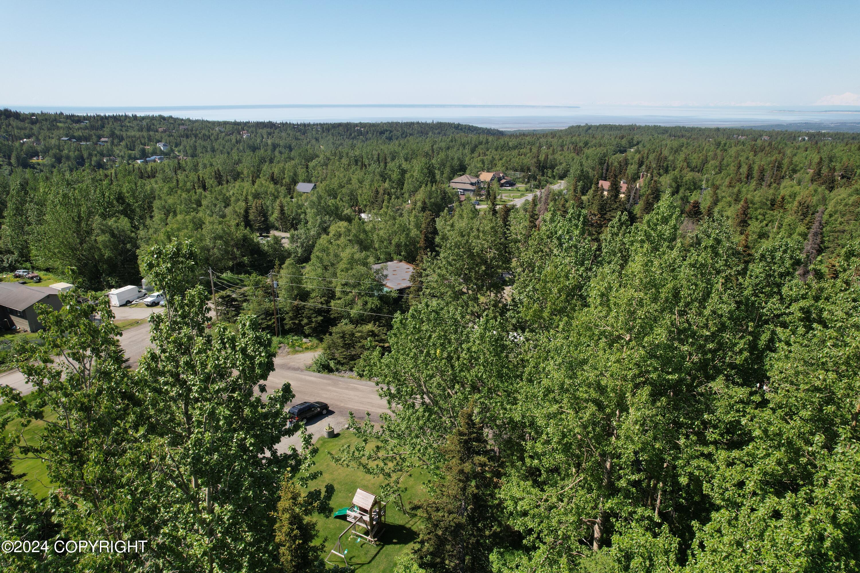 L3 Patrick Road, Anchorage, Alaska image 15
