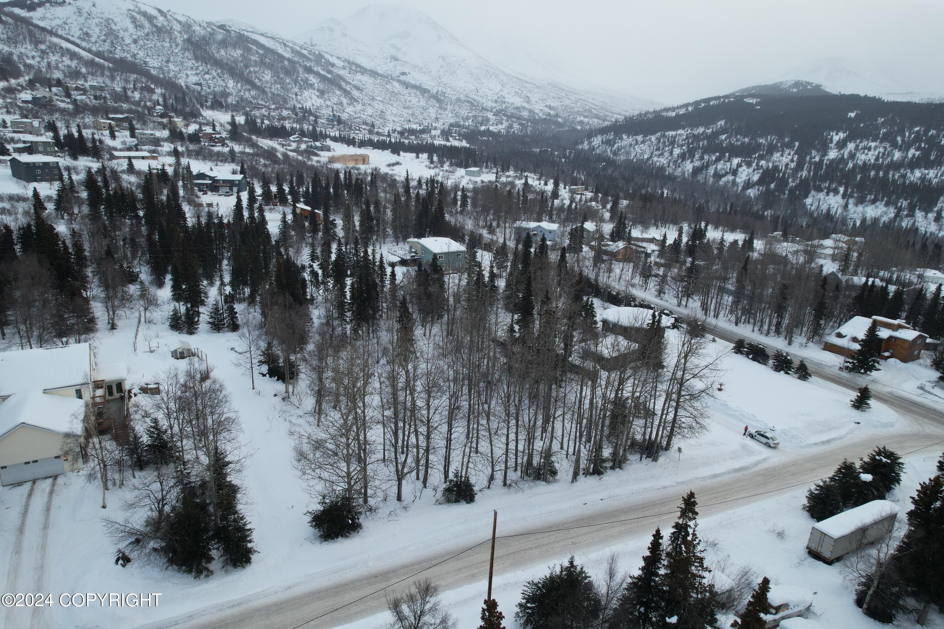 L3 Patrick Road, Anchorage, Alaska image 10