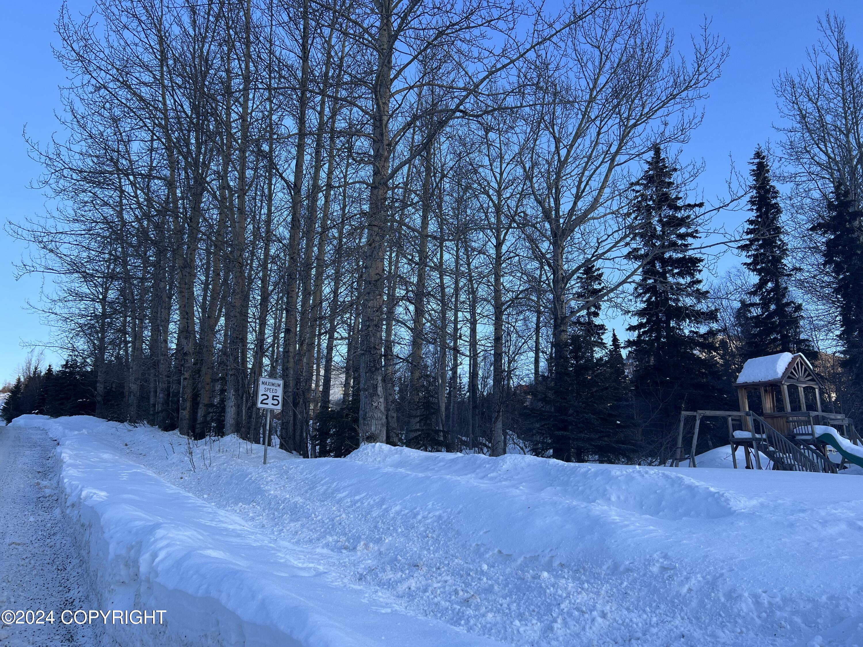 L3 Patrick Road, Anchorage, Alaska image 26