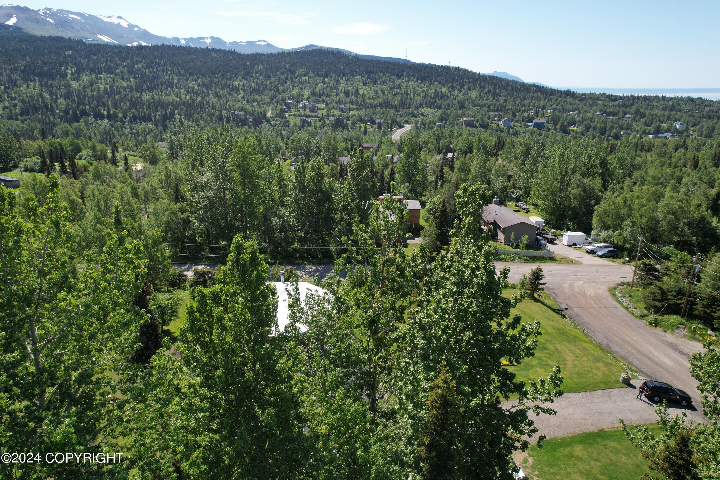 L3 Patrick Road, Anchorage, Alaska image 19