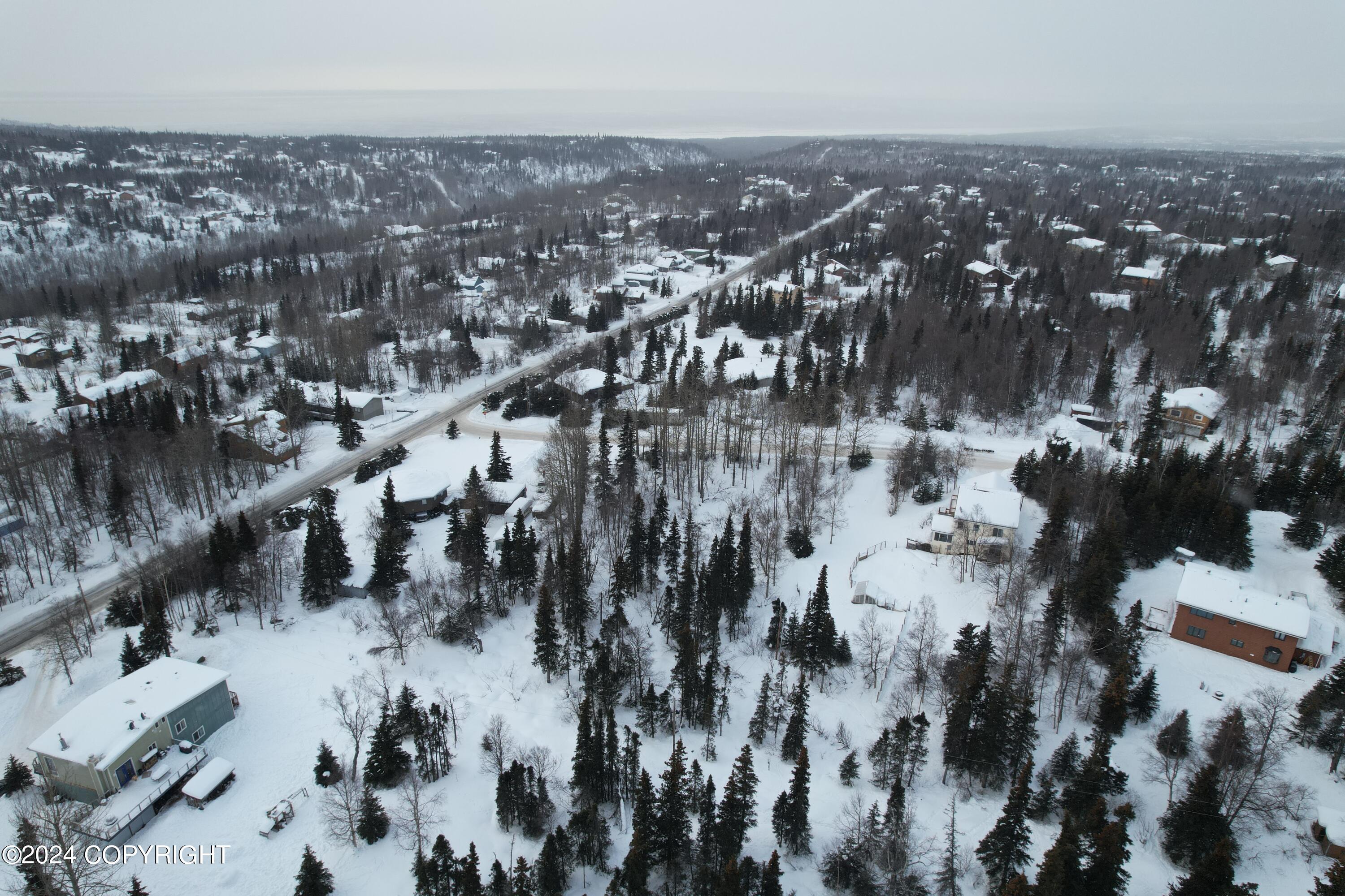 L3 Patrick Road, Anchorage, Alaska image 12
