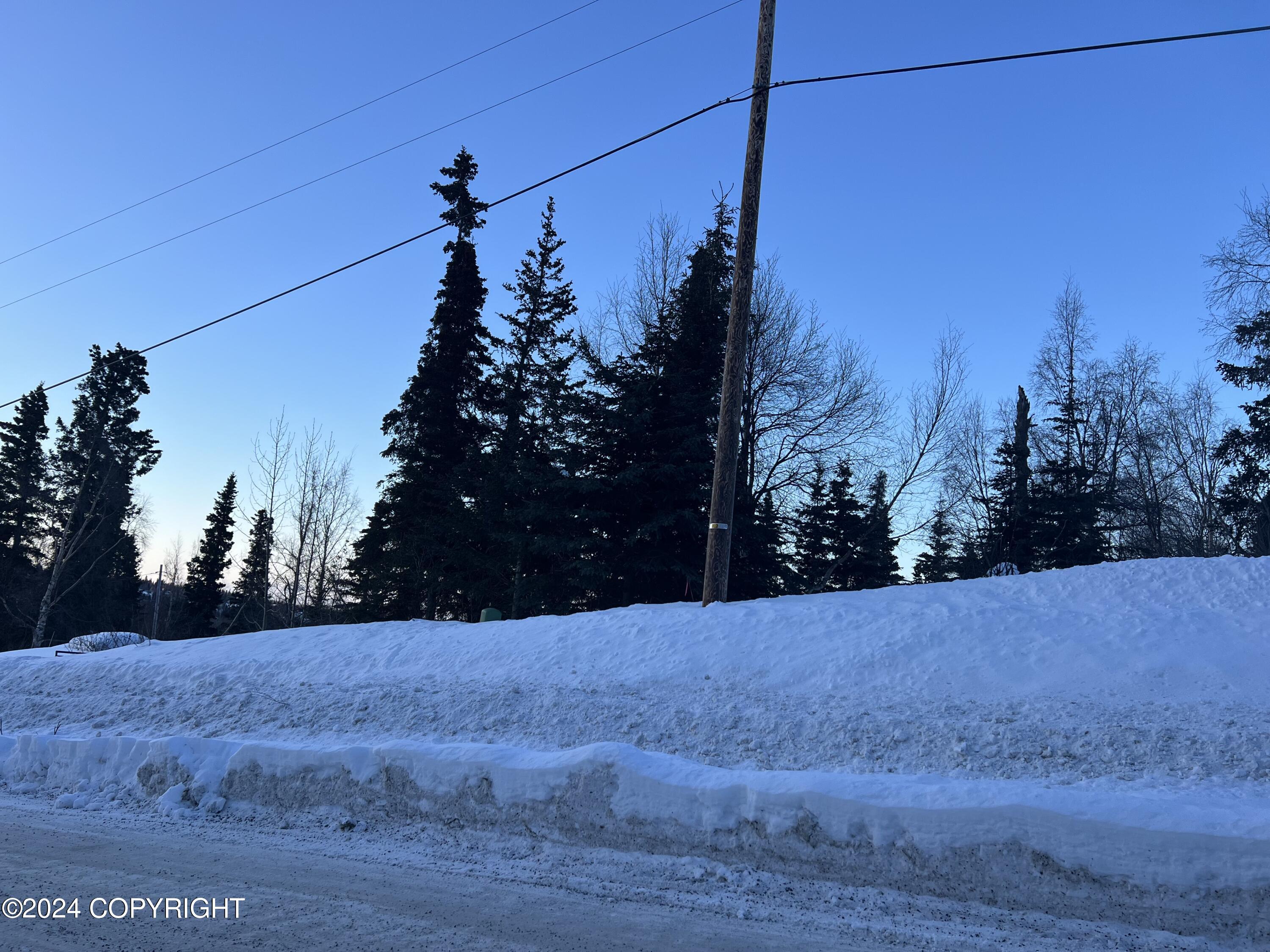 L3 Patrick Road, Anchorage, Alaska image 28