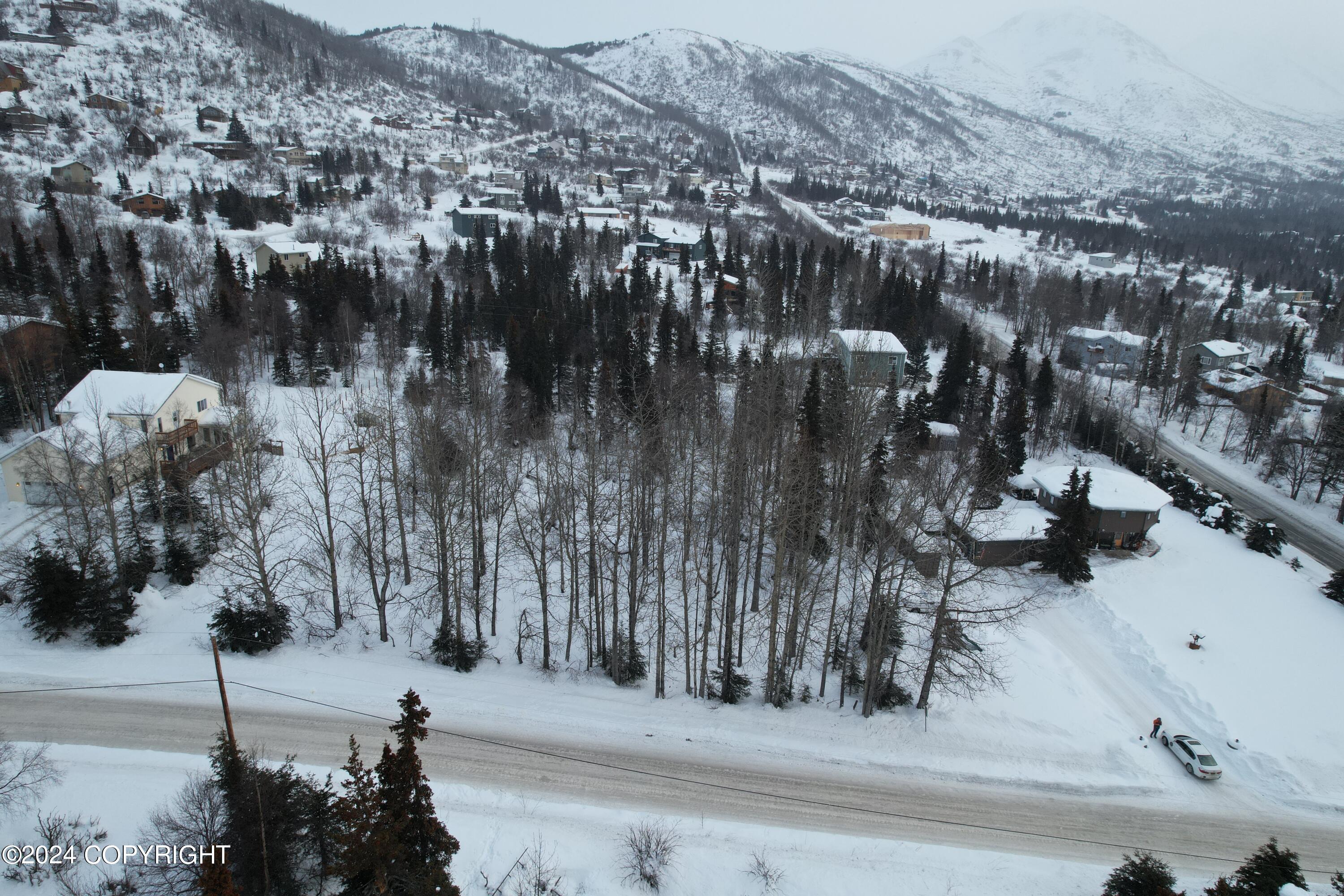 L3 Patrick Road, Anchorage, Alaska image 8
