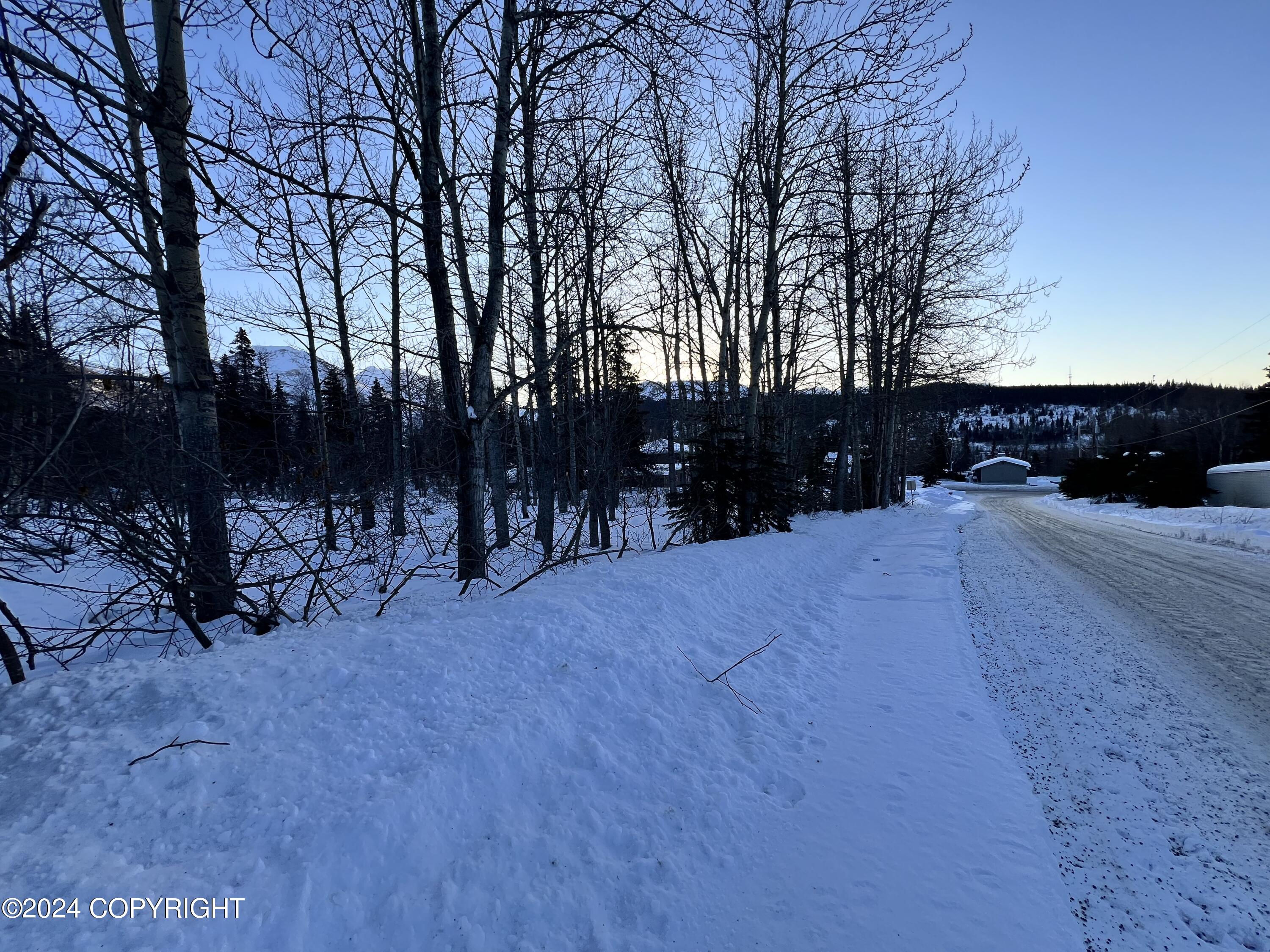 L3 Patrick Road, Anchorage, Alaska image 23