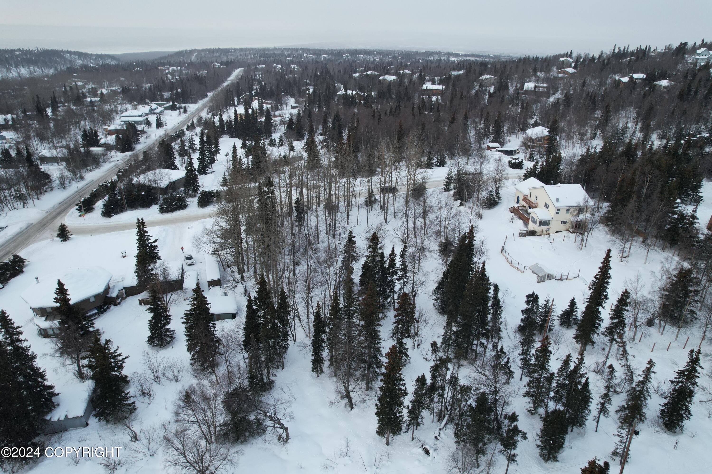 L3 Patrick Road, Anchorage, Alaska image 5