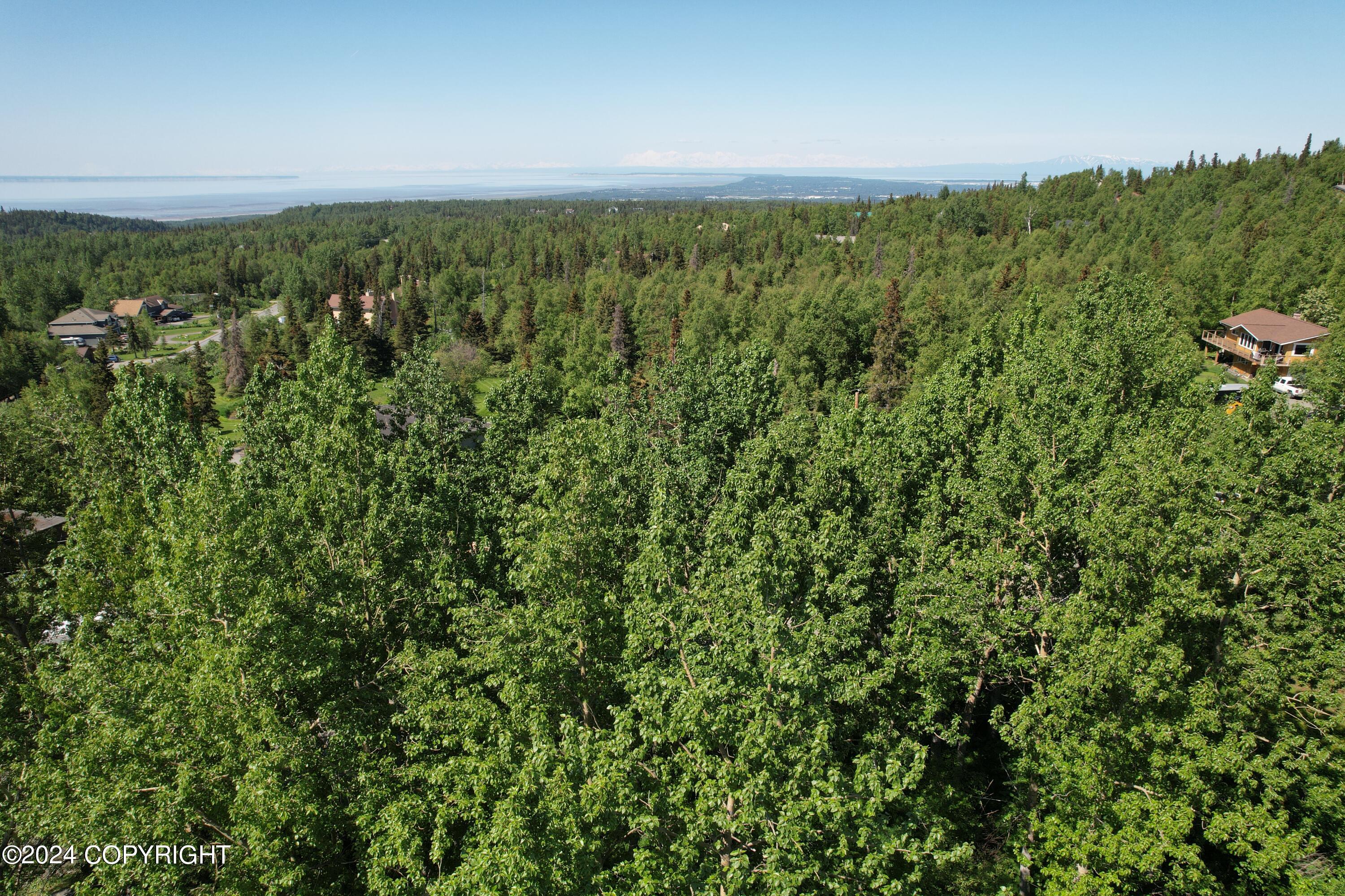 L3 Patrick Road, Anchorage, Alaska image 16