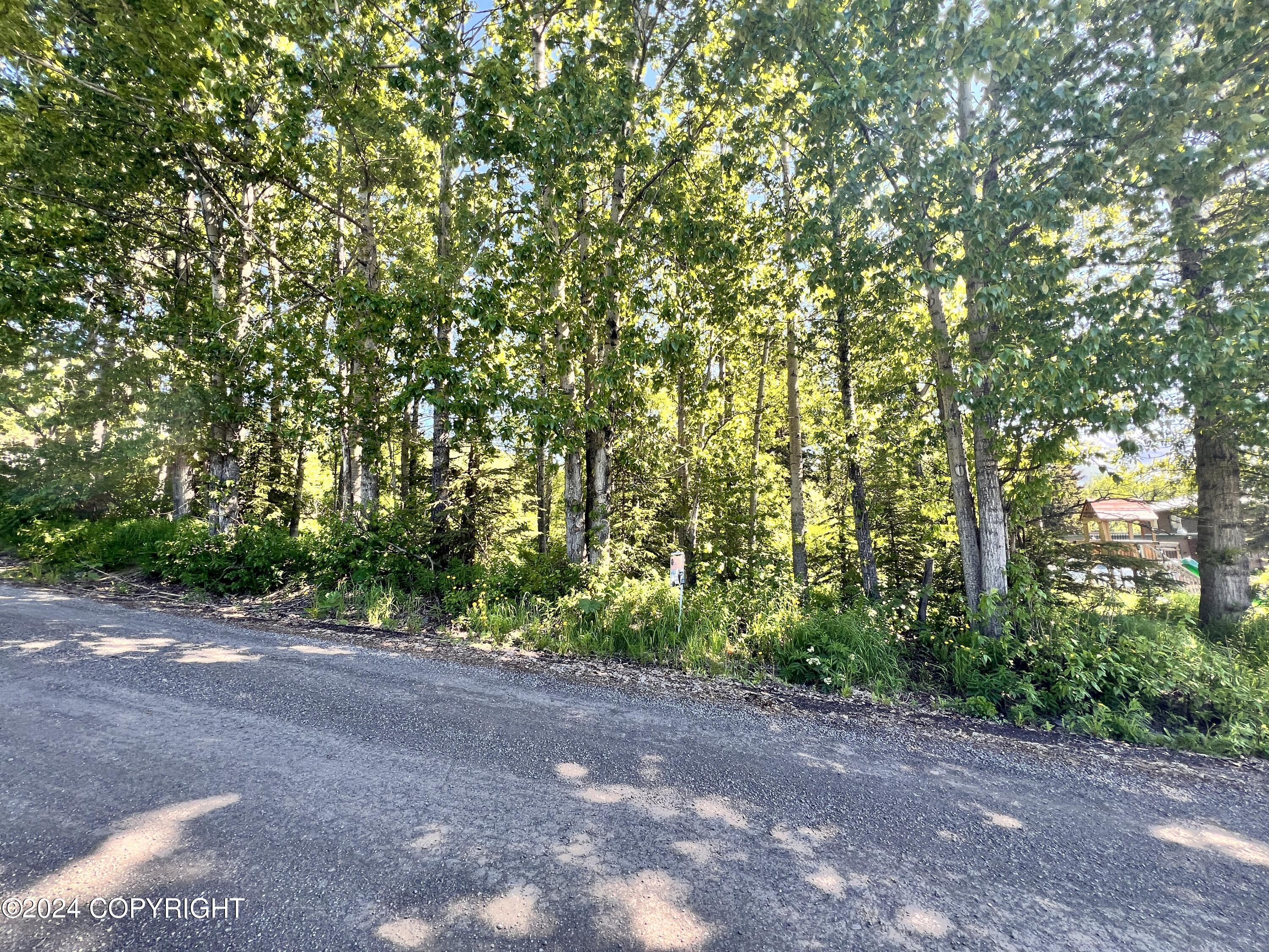 L3 Patrick Road, Anchorage, Alaska image 3