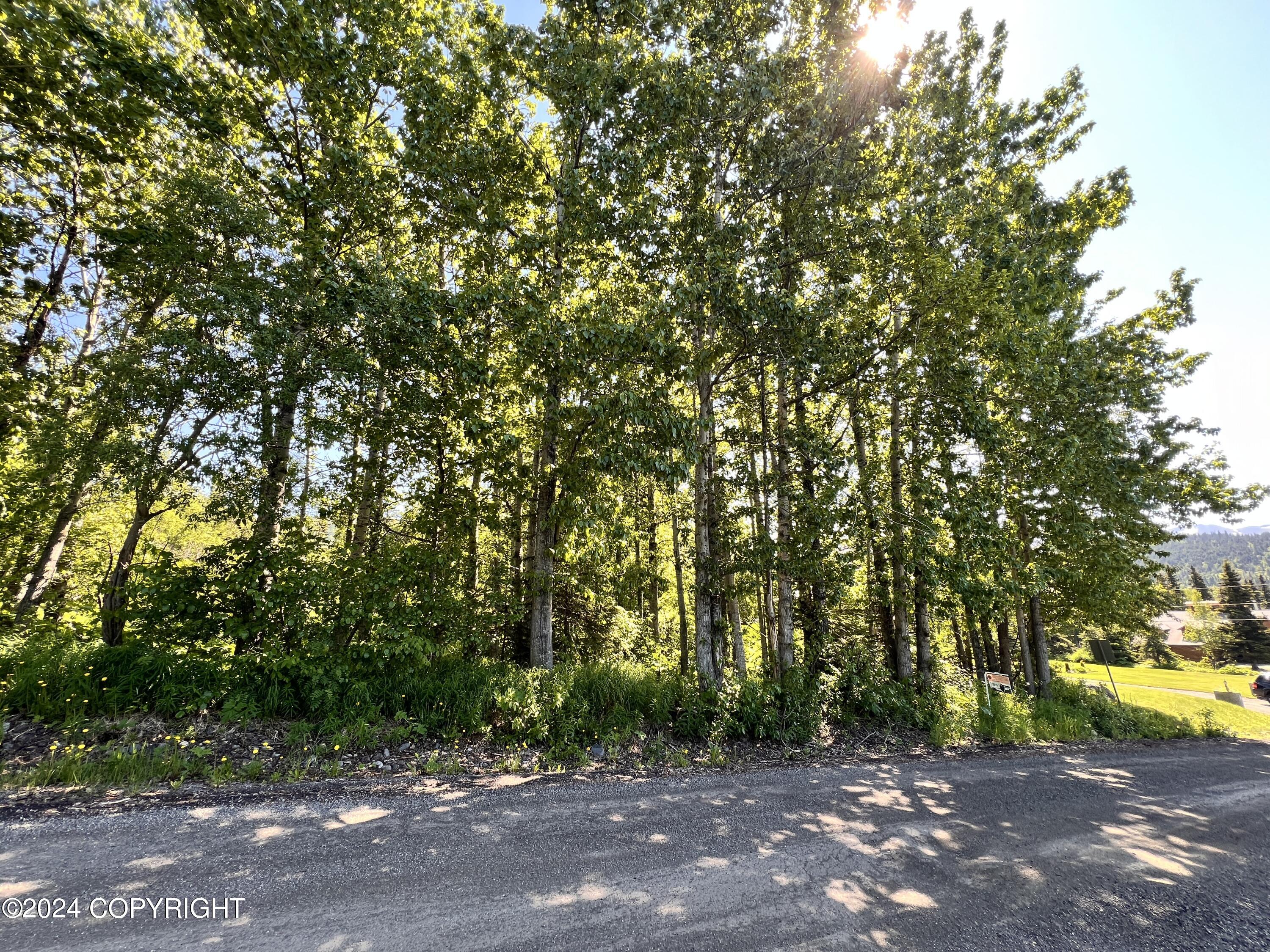 L3 Patrick Road, Anchorage, Alaska image 14