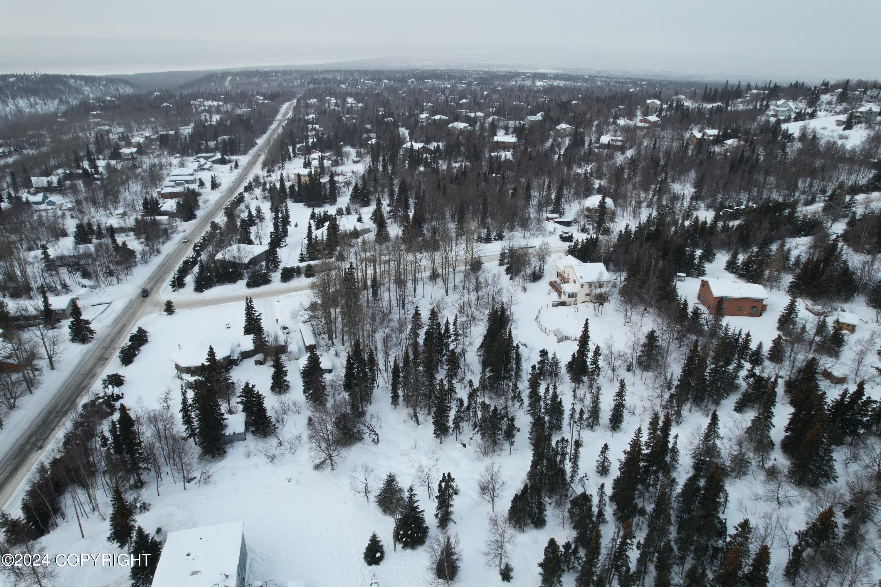 L3 Patrick Road, Anchorage, Alaska image 13