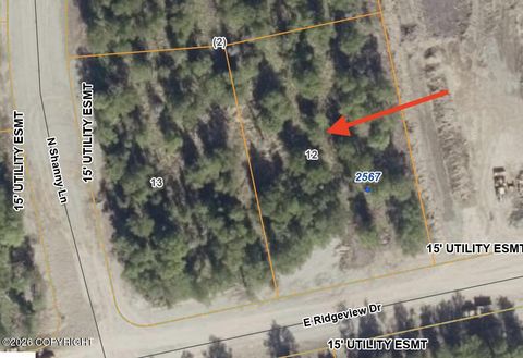Photo of 2567 E Ridgeview Drive, Wasilla, AK 99654 (MLS # 26-4119)