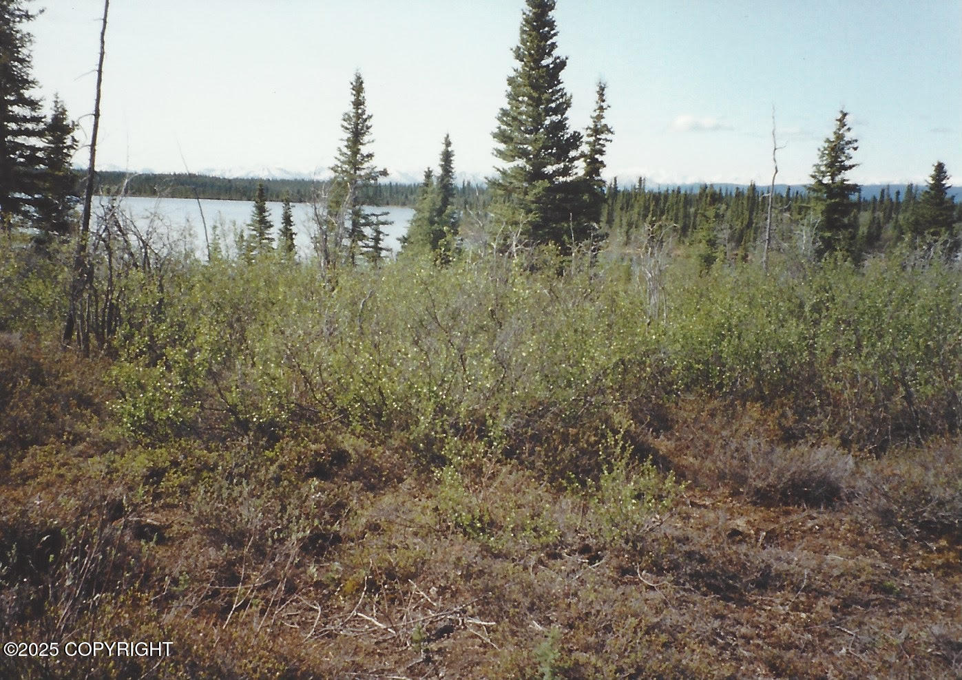 000 No Road, Glennallen, Alaska image 4
