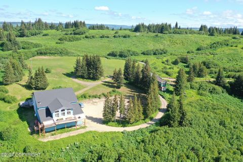 Homes For Sale - 61255 Ohlson Mountain Road<br/> Homer, AK 99603