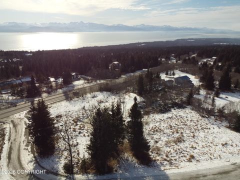 Vacant Land For Sale - 53480 E End Road<br/> Homer, AK 99603