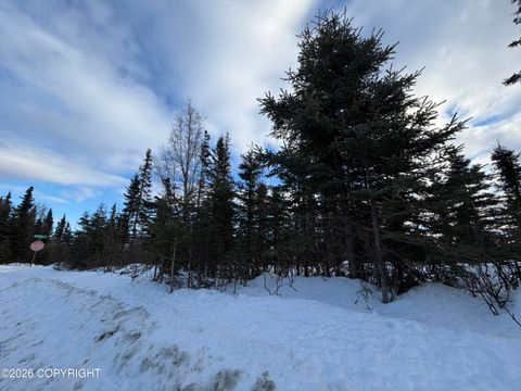 Vacant Land For Sale - 1117 Inlet Woods Drive<br/> Kenai, AK 99611