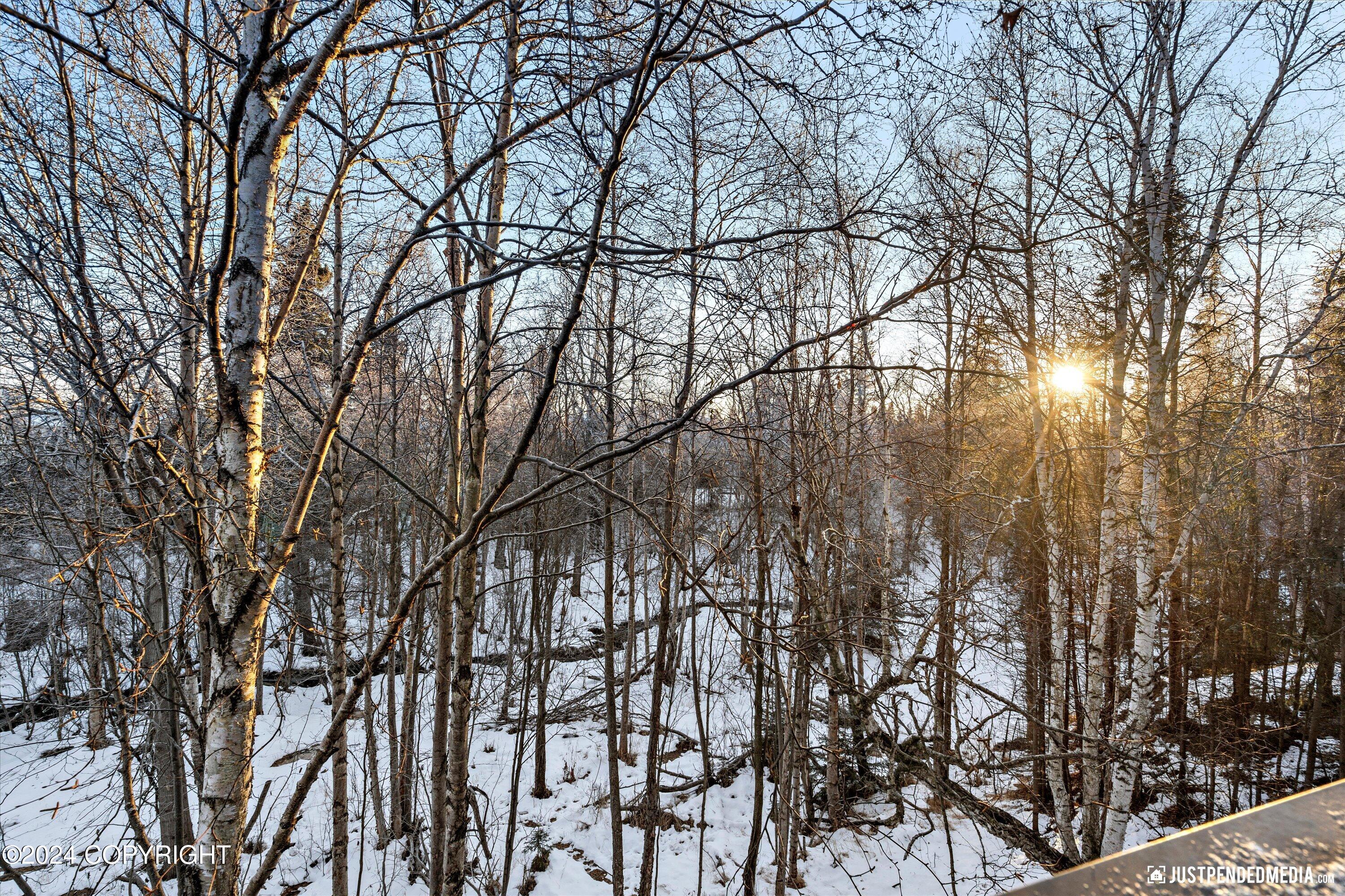 Anchorage, Alaska 99515, United States, 3 Bedrooms Bedrooms, ,3 BathroomsBathrooms,Residential,Pending,32362