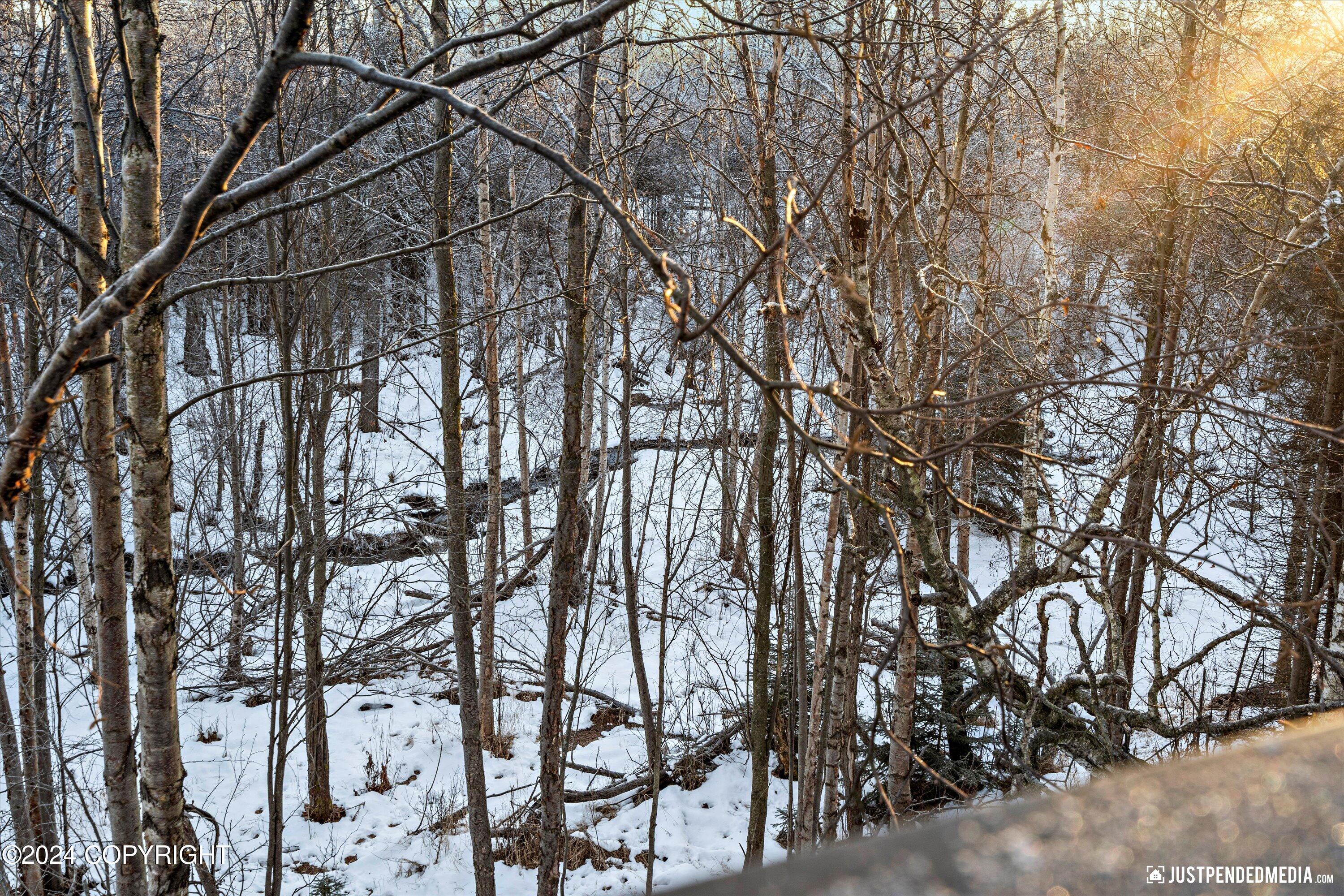 Anchorage, Alaska 99515, United States, 3 Bedrooms Bedrooms, ,3 BathroomsBathrooms,Residential,Pending,32362