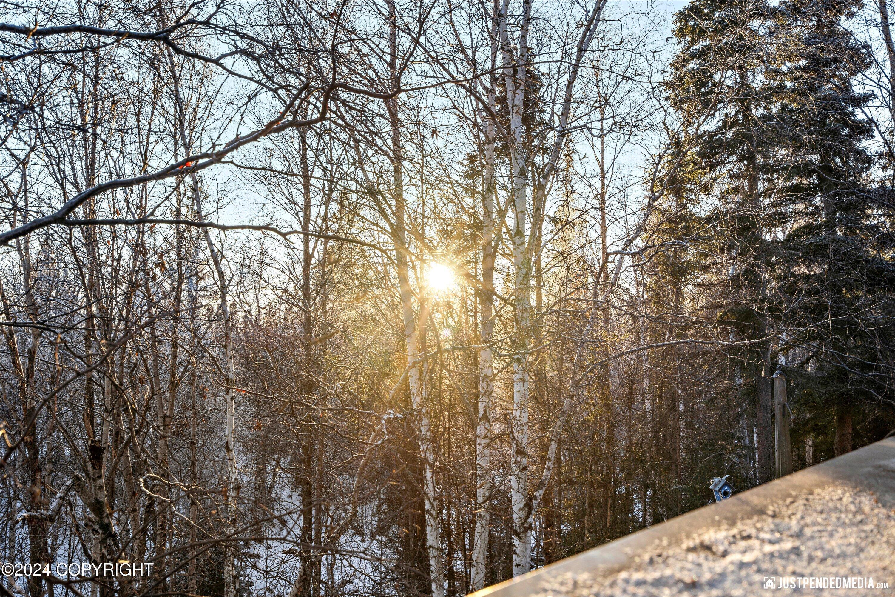 Anchorage, Alaska 99515, United States, 3 Bedrooms Bedrooms, ,3 BathroomsBathrooms,Residential,Pending,32362