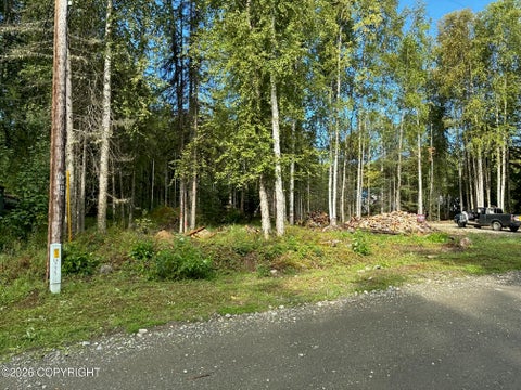 Vacant Land For Sale - 3376 N Nichols Drive<br/> Houston, AK 99694
