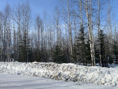 Vacant Land For Sale - 14215 W Masonic Court<br/> Big Lake, AK 99652