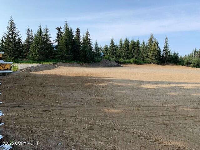 33699 Granross Street, Anchor Point, Alaska image 8