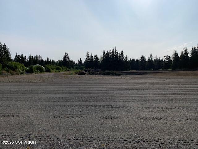 33699 Granross Street, Anchor Point, Alaska image 11
