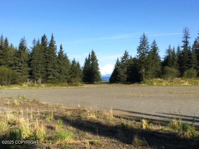 33699 Granross Street, Anchor Point, Alaska image 2