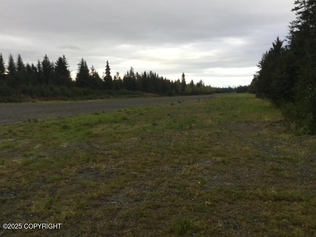 33699 Granross Street, Anchor Point, Alaska image 12