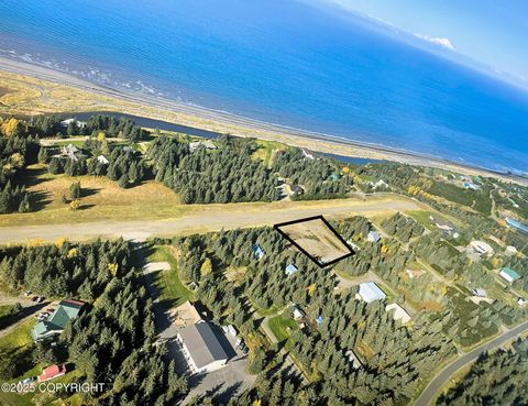 Vacant Land For Sale - 33699 Granross Street<br/> Anchor Point, AK 99556