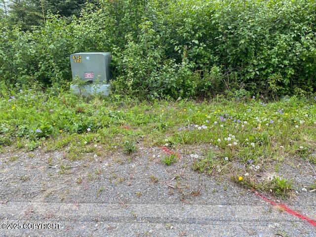 33699 Granross Street, Anchor Point, Alaska image 15