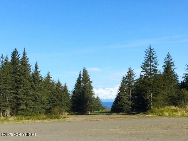 33699 Granross Street, Anchor Point, Alaska image 1