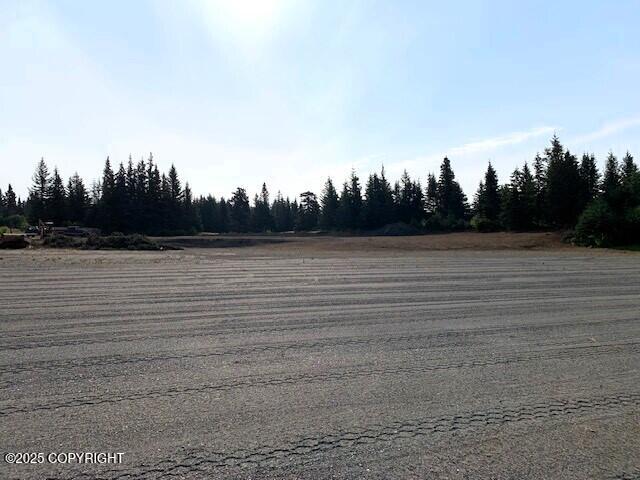 33699 Granross Street, Anchor Point, Alaska image 10
