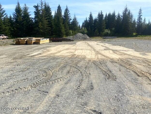 33699 Granross Street, Anchor Point, Alaska image 5