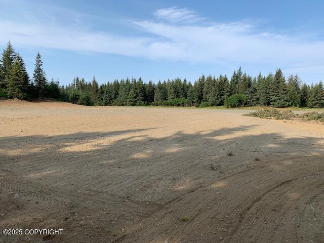 33699 Granross Street, Anchor Point, Alaska image 6