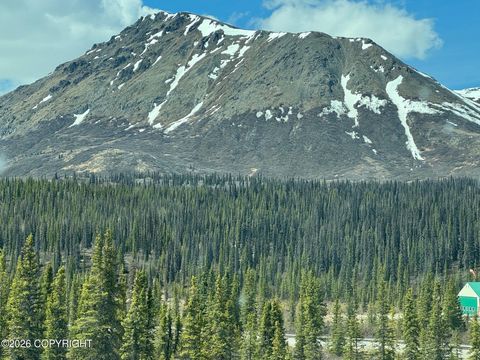 Photo of L9 Wonderstruck Avenue, Cantwell, AK 99729 (MLS # 26-3571)