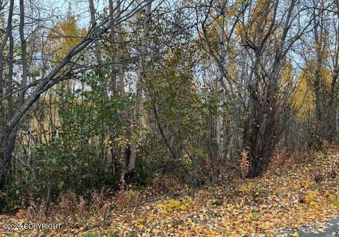 Vacant Land For Sale - 4916 S Horseshoe Lake Road<br/> Big Lake, AK 99652