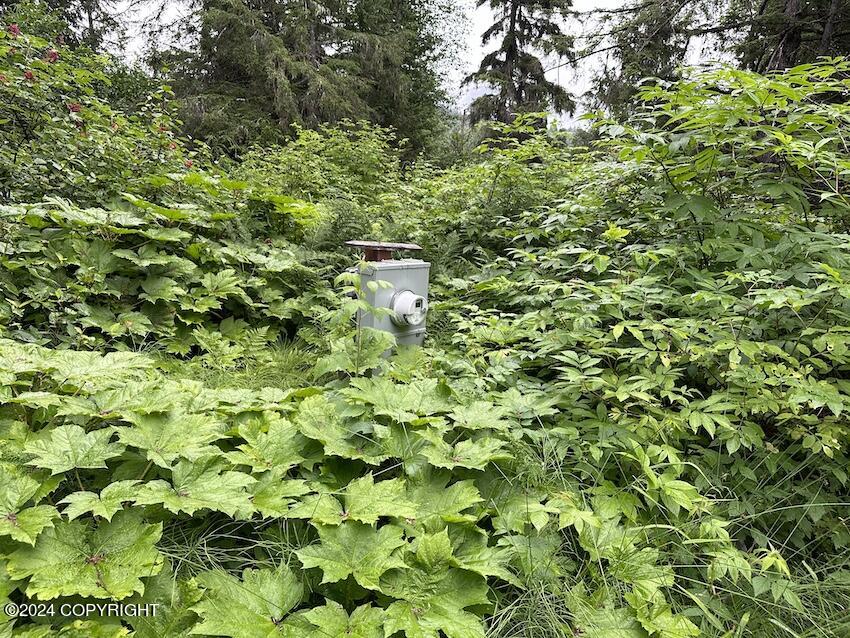 L7 Four Winds Road, Haines, Alaska image 3