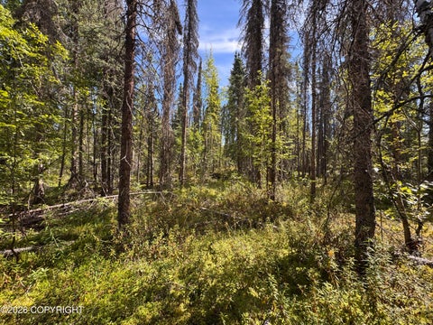 Photo of 50758 S Silver Salmon Drive, Willow, AK 99688 (MLS # 26-9558)
