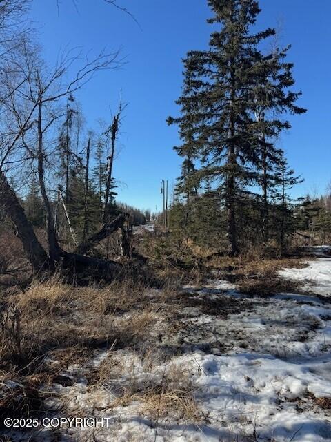 30090 Stubblefield Drive, Soldotna, Alaska image 3