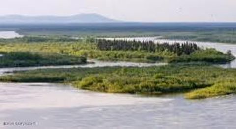 Photo of LC2 B2 Nushagak River, Dillingham, AK 99576 (MLS # 26-1477)