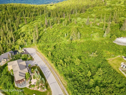 Vacant Land For Sale - 6550 Prominence Pointe Drive<br/> Anchorage, AK 99516