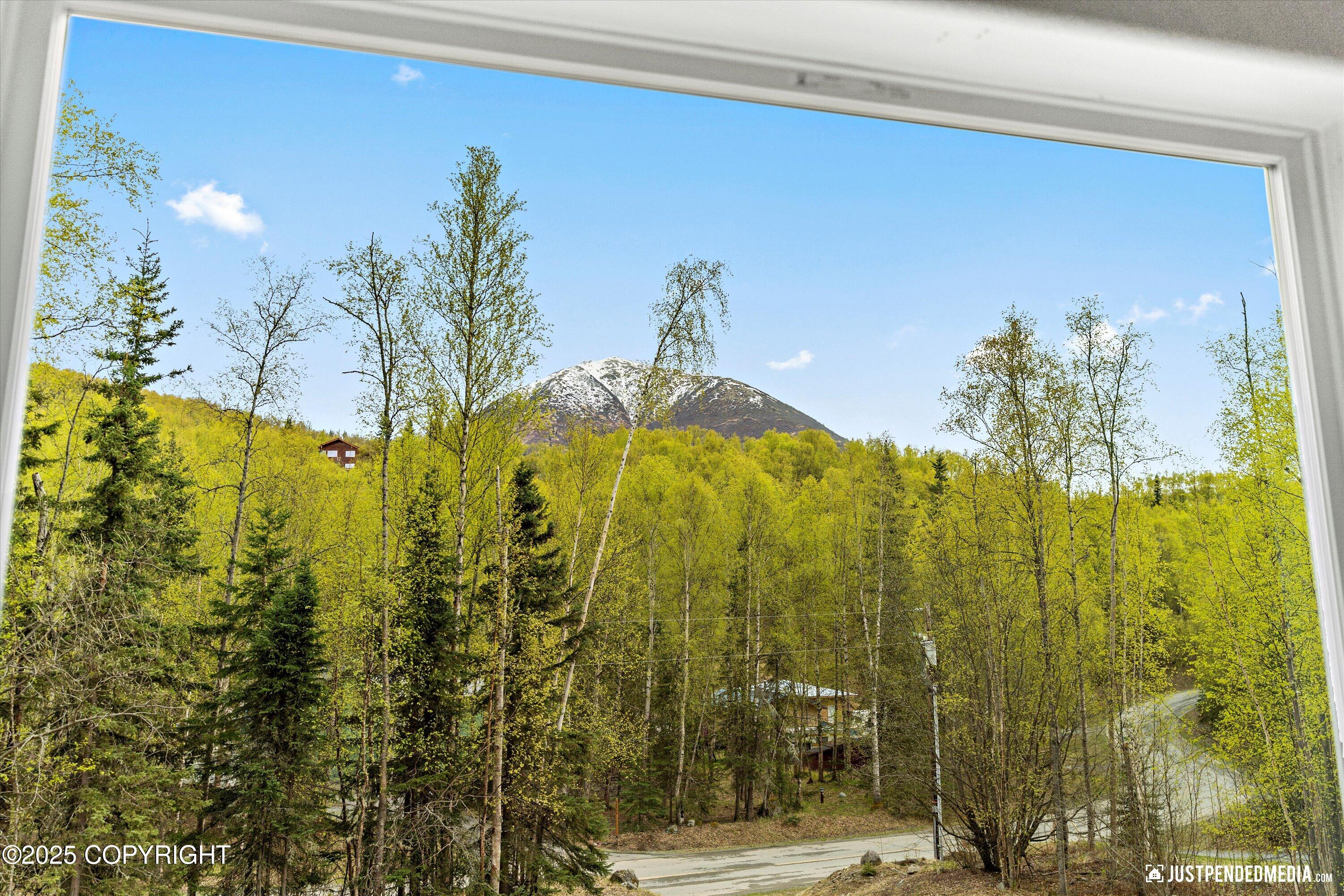 20212 Chugach Park Drive, Chugiak, Alaska image 31