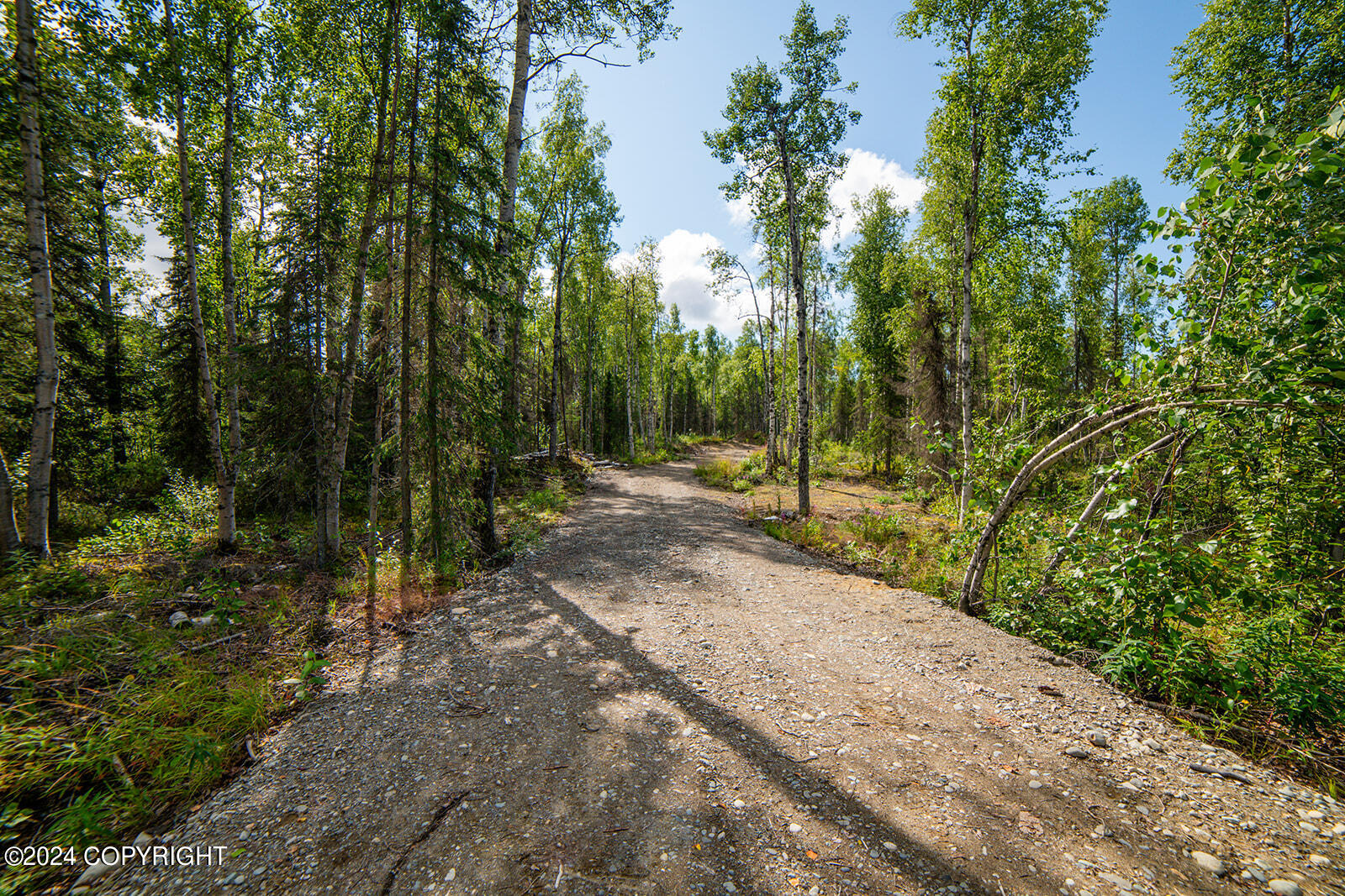 69051 S Mckinley Vista Loop Shores, Willow, Alaska image 10