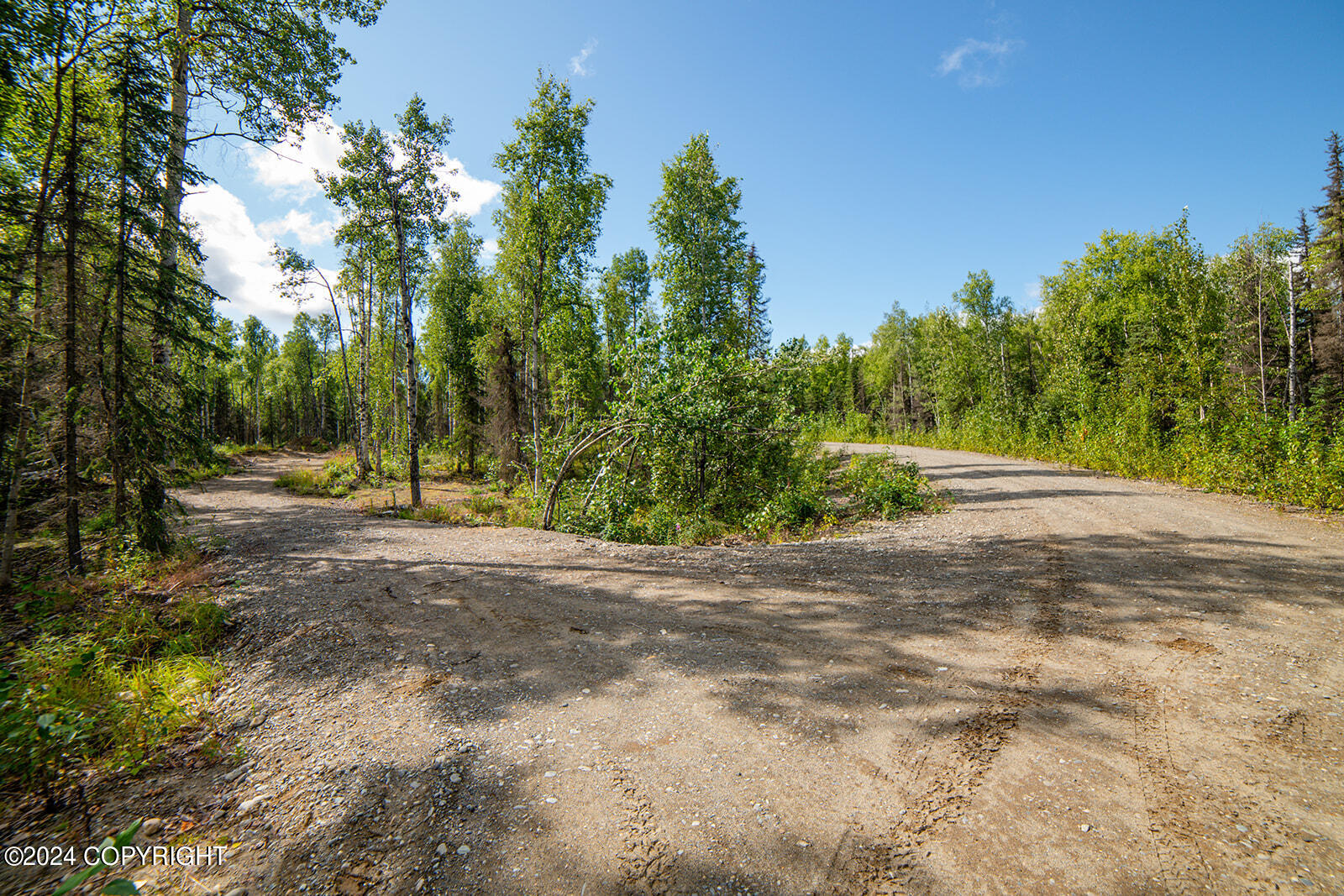69051 S Mckinley Vista Loop Shores, Willow, Alaska image 9