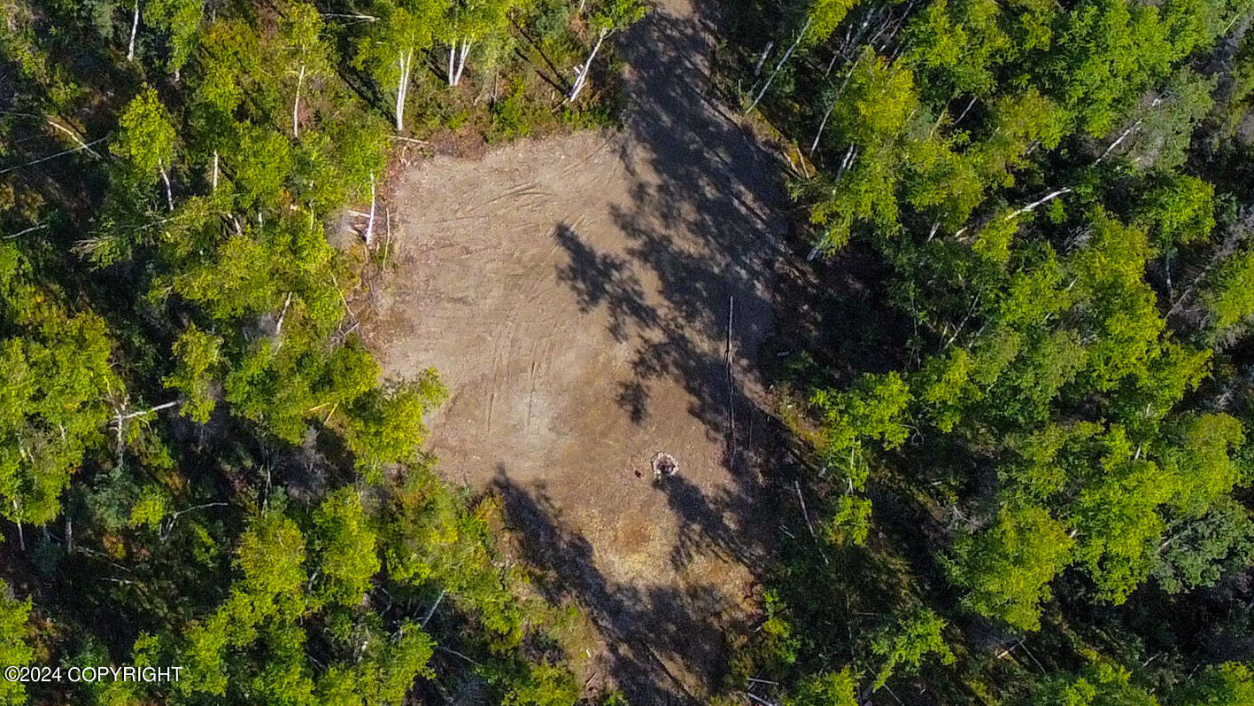 69051 S Mckinley Vista Loop Shores, Willow, Alaska image 1