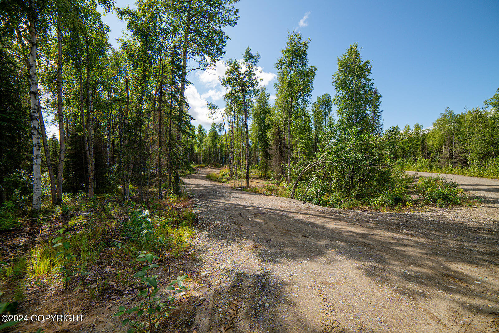 69051 S Mckinley Vista Loop Shores, Willow, Alaska image 8