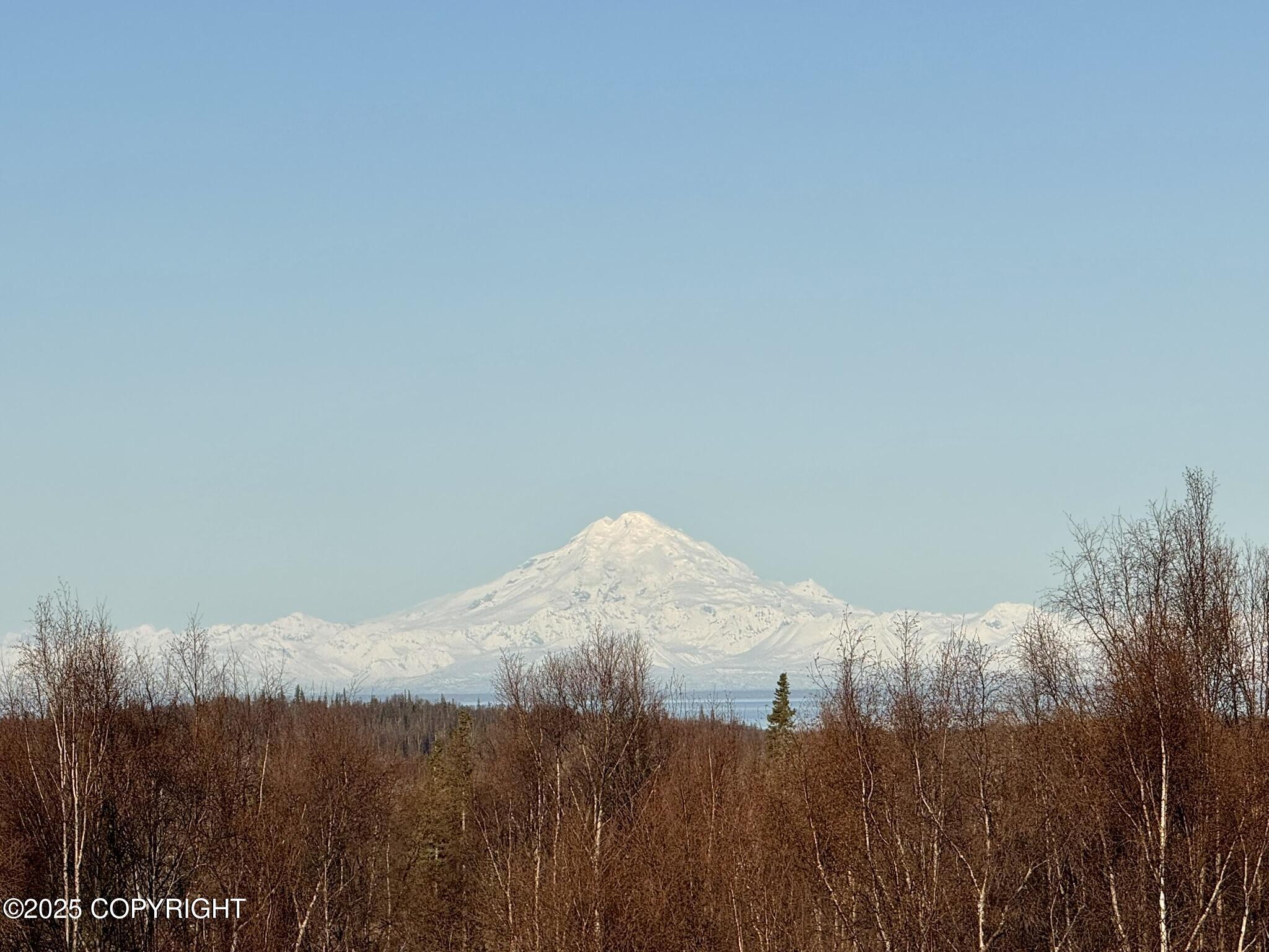31044 Exit Avenue, Soldotna, Alaska image 2