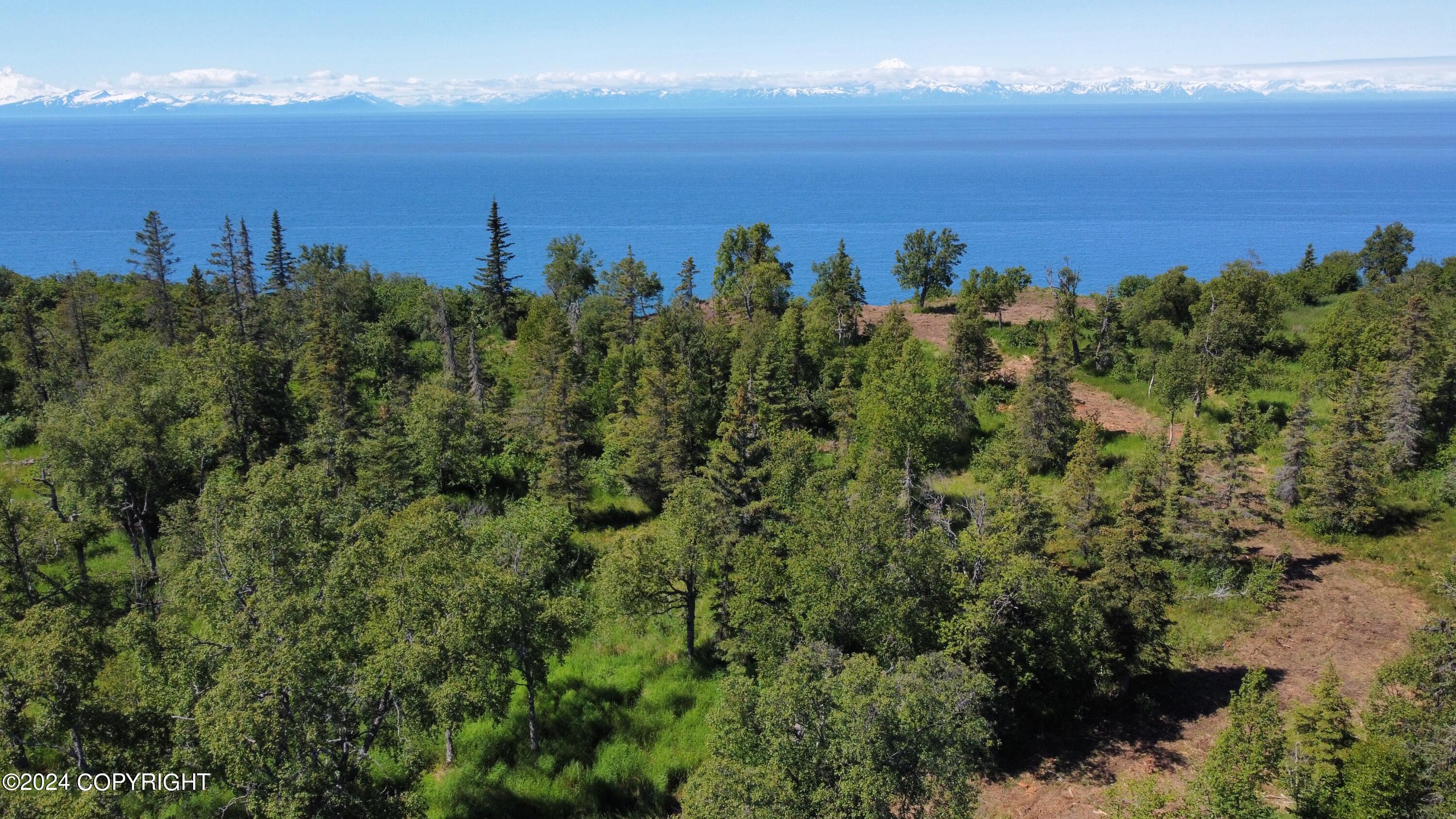 14185 Sterling Highway, Ninilchik, Alaska image 39