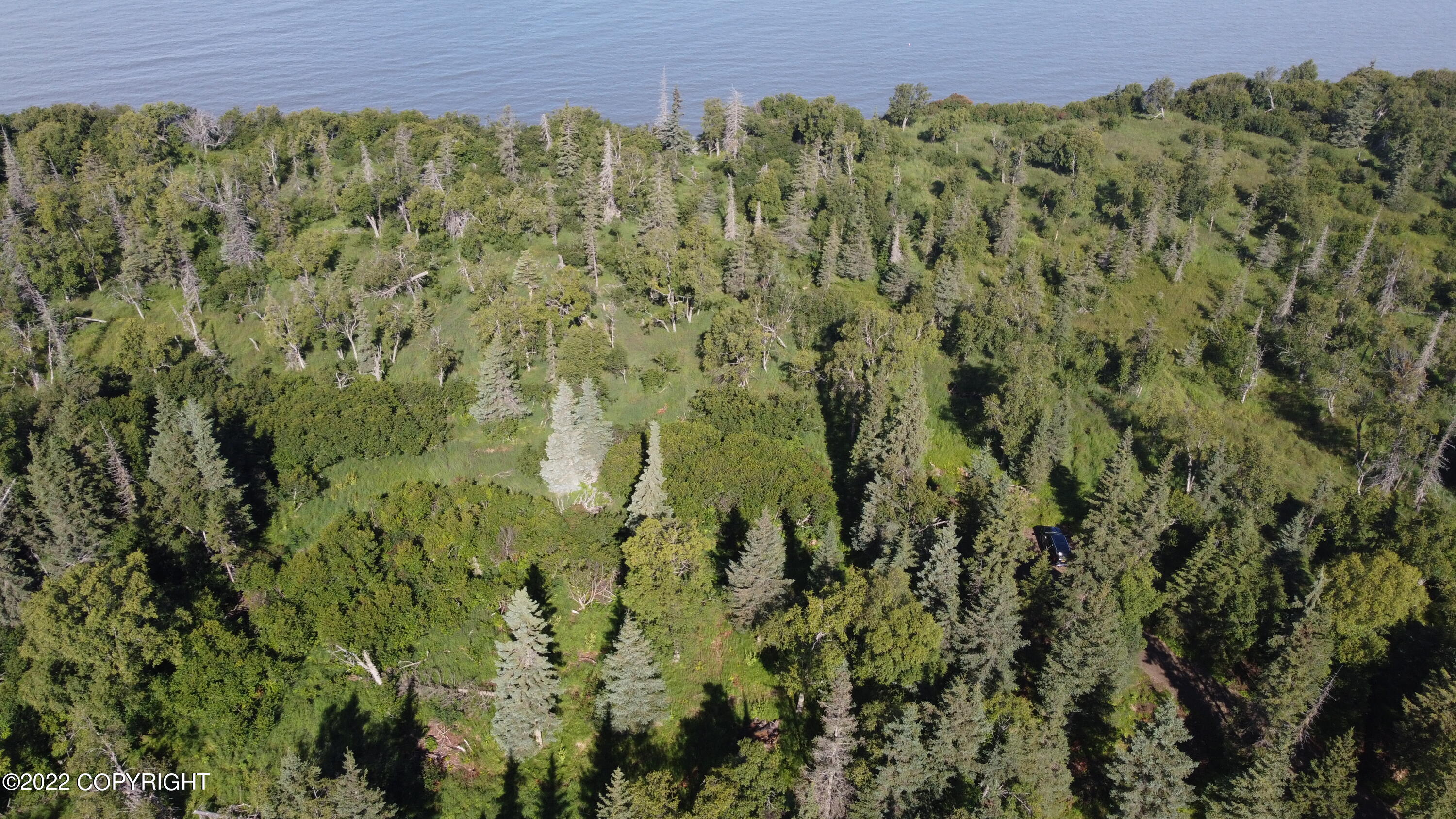 14185 Sterling Highway, Ninilchik, Alaska image 26