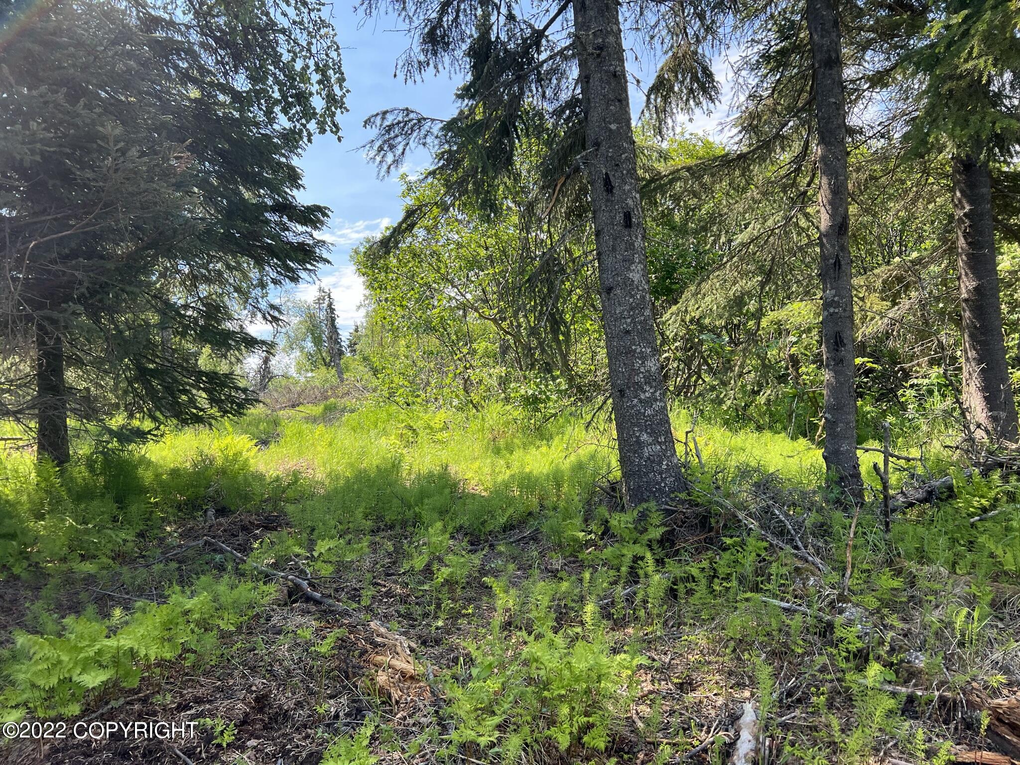 14185 Sterling Highway, Ninilchik, Alaska image 20